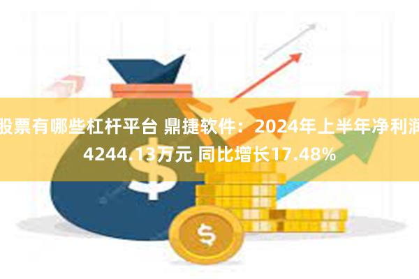 股票有哪些杠杆平台 鼎捷软件：2024年上半年净利润4244.13万元 同比增长17.48%