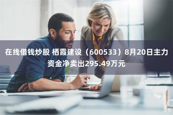 在线借钱炒股 栖霞建设（600533）8月20日主力资金净卖出295.49万元