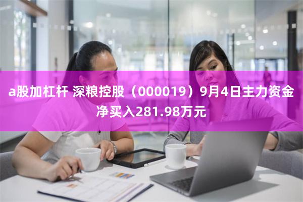 a股加杠杆 深粮控股（000019）9月4日主力资金净买入281.98万元