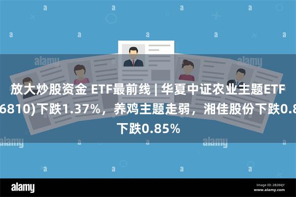 放大炒股资金 ETF最前线 | 华夏中证农业主题ETF(516810)下跌1.37%，养鸡主题走弱，湘佳股份下跌0.85%