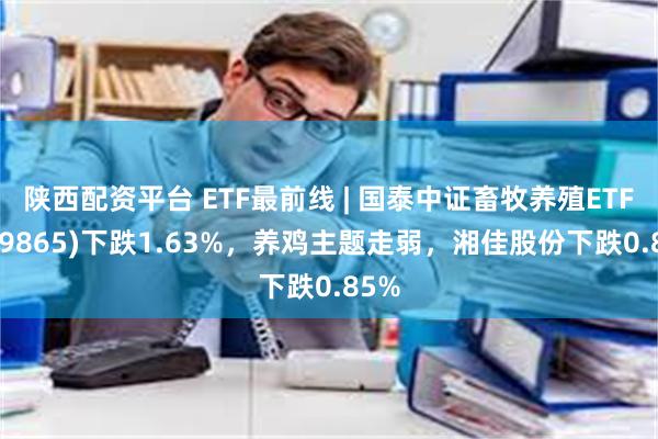 陕西配资平台 ETF最前线 | 国泰中证畜牧养殖ETF(159865)下跌1.63%，养鸡主题走弱，湘佳股份下跌0.85%