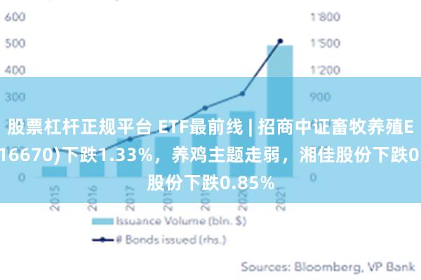 股票杠杆正规平台 ETF最前线 | 招商中证畜牧养殖ETF(516670)下跌1.33%，养鸡主题走弱，湘佳股份下跌0.85%