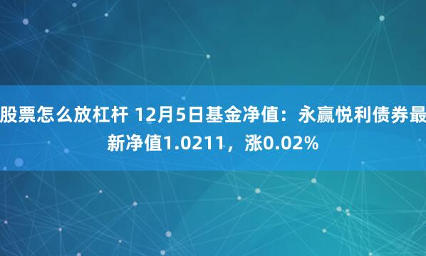 股票怎么放杠杆 12月5日基金净值：永赢悦利债券最新净值1.0211，涨0.02%