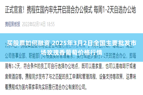 买股票如何融资 2025年3月2日全国主要批发市场玫瑰香葡萄价格行情